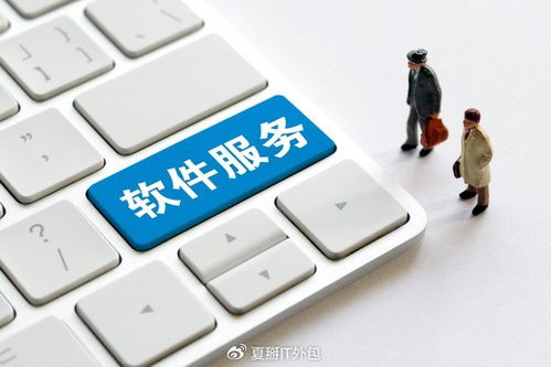 軟件開發(fā)板塊震蕩走強(qiáng)，上海IT運(yùn)維外包迎發(fā)展新機(jī)遇