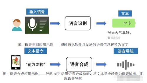 聲紋掘金 語音類基礎(chǔ)數(shù)據(jù)國內(nèi)第一的人工智能上游龍頭崛起之路